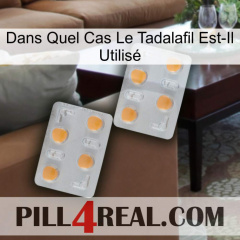 Dans Quel Cas Le Tadalafil Est-Il Utilisé 25